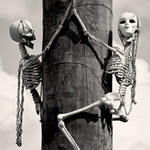 New Orleans Black and White Photography, Mardi Gras Skeletons, Louisiana Black & White Photo, Quirky Halloween Decor