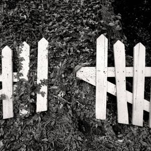 White Picket Fence at Houmas House Plantation, New Orleans Black and White Photography, Rustic Farmhouse Decor