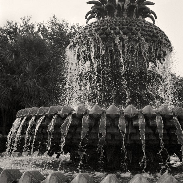 Charleston Pineapple Fountain Digital Download, Black and White Photography, Southern Home Decor, Black & White Wall Art