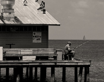 Brown Pelicans on Old City Pier, Anna Maria Island Florida, Black and White Photography, Florida Wall Art