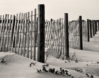 Tybee Island Black and White Photography, Savannah Georgia Print, Black & White Beach House Decor