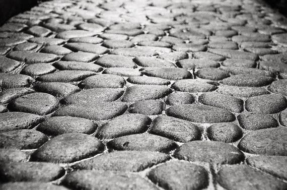 Cobblestone Alley Along River Street Savannah Black White Etsy