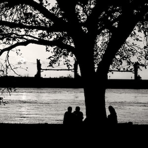 The Fly Audubon Park New Orleans, Black and White Photography, Mississippi River Print, Instant Digital Download