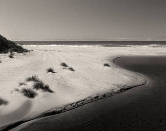 May include: A black and white photograph of a sandy beach with a small inlet of water. The beach is mostly empty, with a few small plants growing in the sand. The water is calm and still.