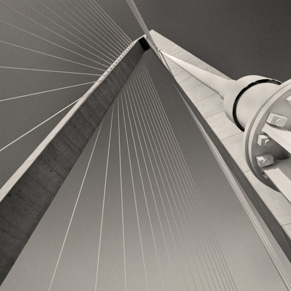 Charleston Black & White Photo of Arthur Ravenel Bridge, Black and White Coastal Decor, Instant Digital Download, Mt Pleasant SC