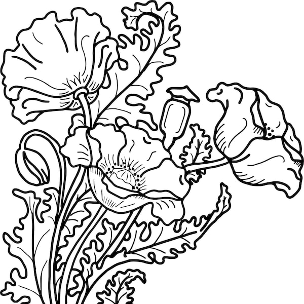 Clipart Tooling Pattern Line art, poppy flowers for leather, stickers, decals, logo, t-shirts, tumblers, western art