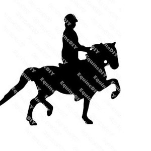 May include: Silhouette of a person riding a horse. The rider is wearing a helmet and the horse is in mid-air with its front legs extended.