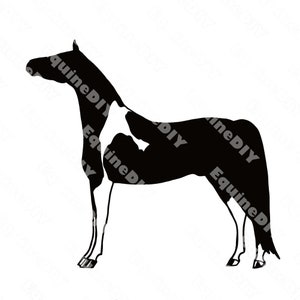 Horse Clipart Half Arabian Horse Halter Standing Pinto Show logo cups horseshow awards sticker decal stock breed clipart, for cricut