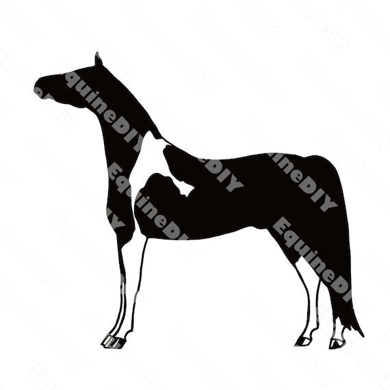 Halter Horse Clipart