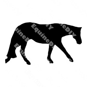 May include: Silhouette of a black horse walking with its head down.