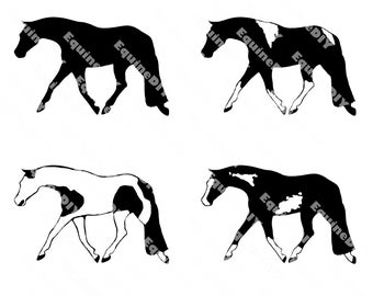 4 Paint Pinto Trotting Horse Clip Art Set Hunter Under Saddle AQHA, APHA, PTHA, Solid Paint Bred, for custom awards, mugs, t-shirts, logos