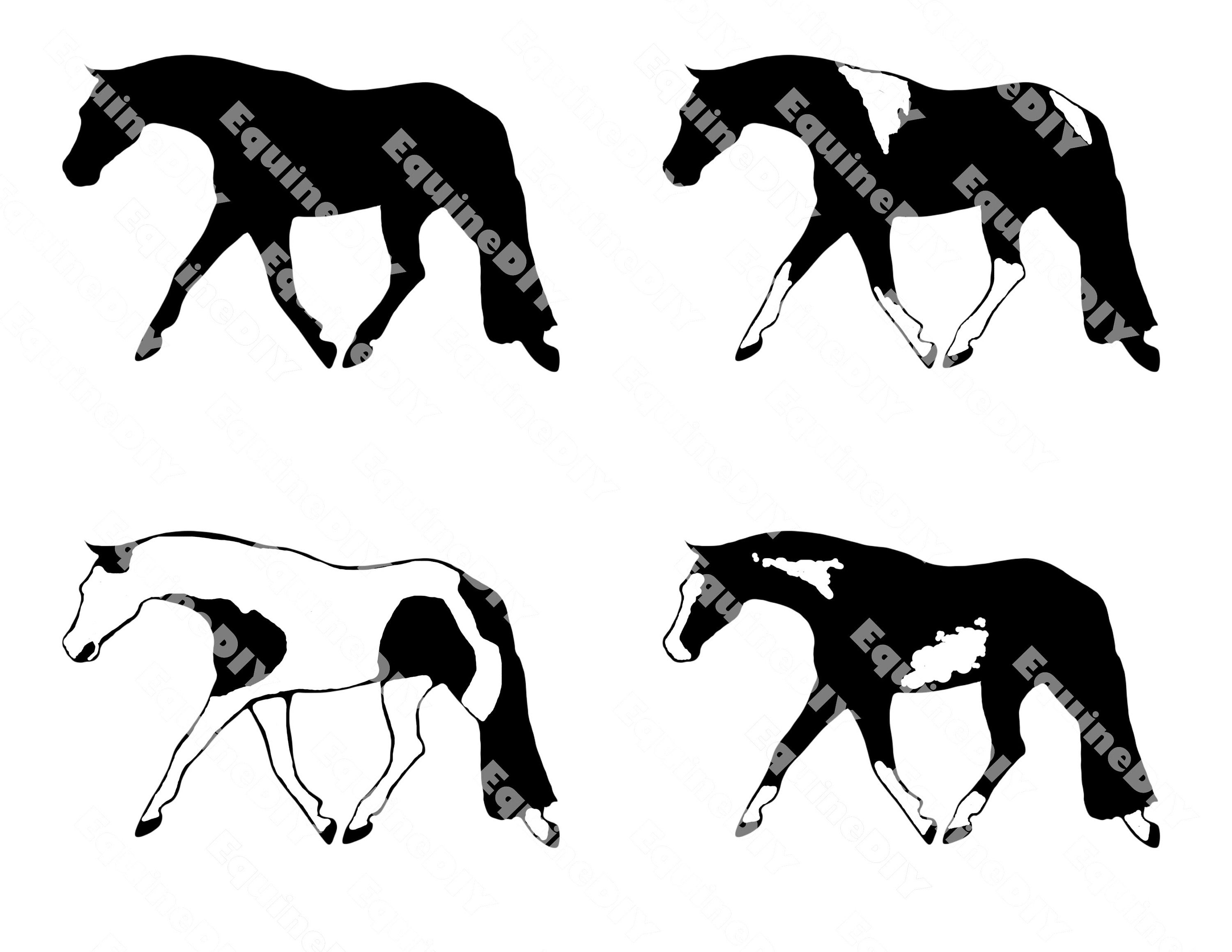 4 Paint Pinto Trotting Horse Clip Art Set Hunter Under Saddle AQHA
