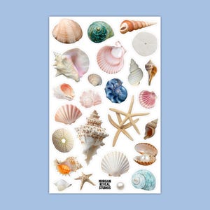 May include: A sticker sheet featuring a variety of seashells, starfish, and a sand dollar. The collection includes spiral shells, fan-shaped bivalves, and a clam shell containing a pearl. The text MORGAN REVEAL STUDIOS is printed in black.