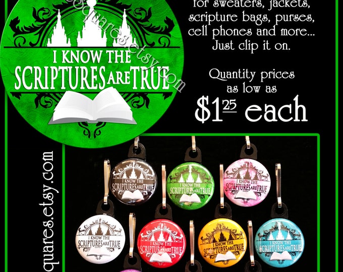 Zipper Pulls "I Know The Scriptures Are True" LDS Gifts - 2016 Primary Theme - Birthdays, Girls Camp, Missionaries Gifts YW Scripture Bag