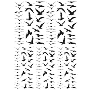 May include: A black and white illustration of a flock of birds in flight. The birds are all facing the same direction and are flying in a loose formation.