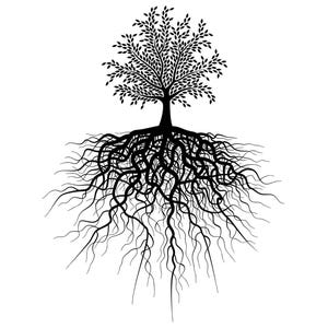 Puede incluir: Silueta en blanco y negro de un árbol con raíces intrincadas que se extienden desde la base del tronco.