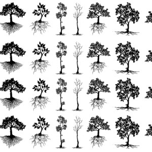 Trees 32 pcs 1 Inch Black Fused Glass Decals