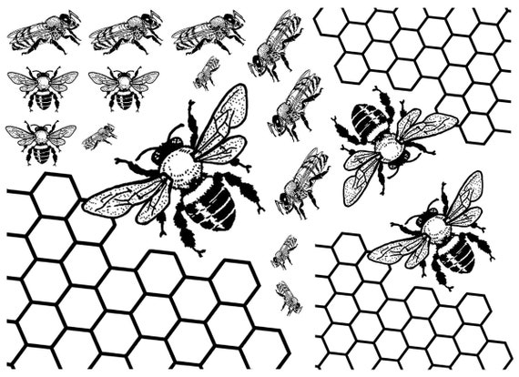 Bees and Honeycomb Silk Screen Stencil