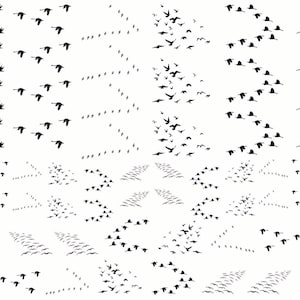 May include: A black and white illustration of a flock of birds flying in a V formation. The birds are flying in a symmetrical pattern, with the leader at the front and the rest of the birds following in a line.