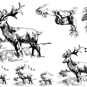 Neely Elk Deer Scenes 6 pcs 1&quot; to 4&quot; Black Fused Glass Decals