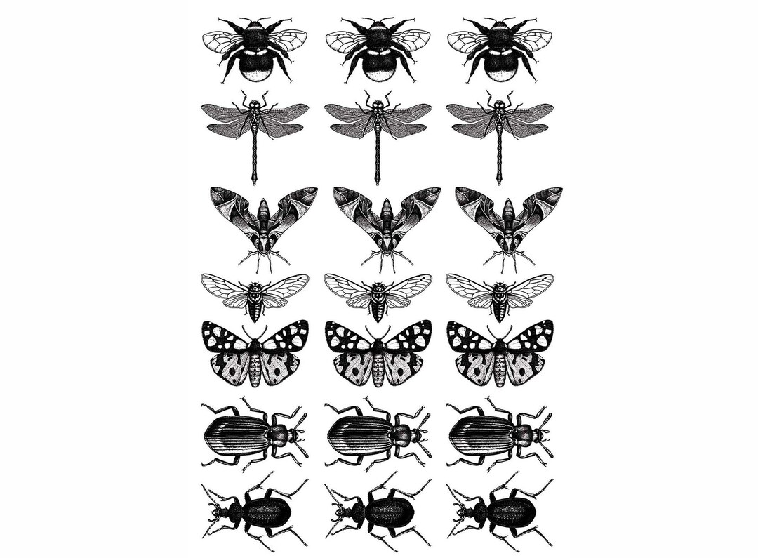 Insect Mania 21 Pcs 1 Inch Black Fused Glass Decals - Etsy