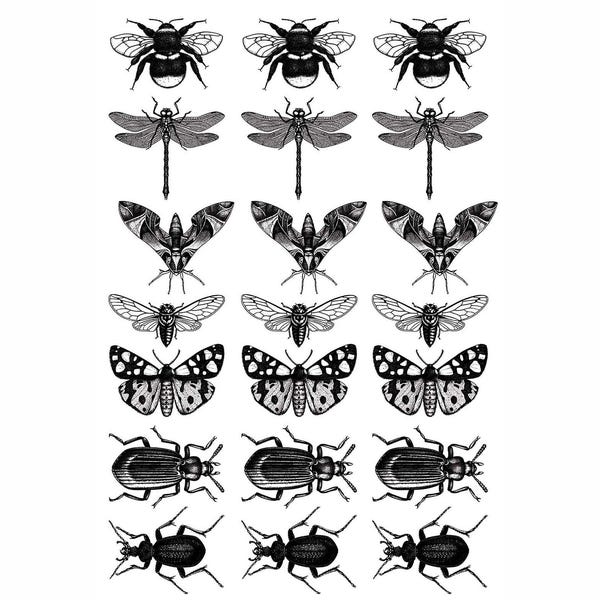 Insect Decals - Etsy
