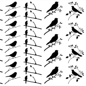 Op de afbeelding: Een verzameling zwarte silhouetten van diverse vogels zittend op takken. Het ontwerp bevat meerdere rijen vogels in verschillende houdingen, sommige op eenvoudige twijgen en andere op takken met bladeren en bessen, tegen een witte achtergrond.