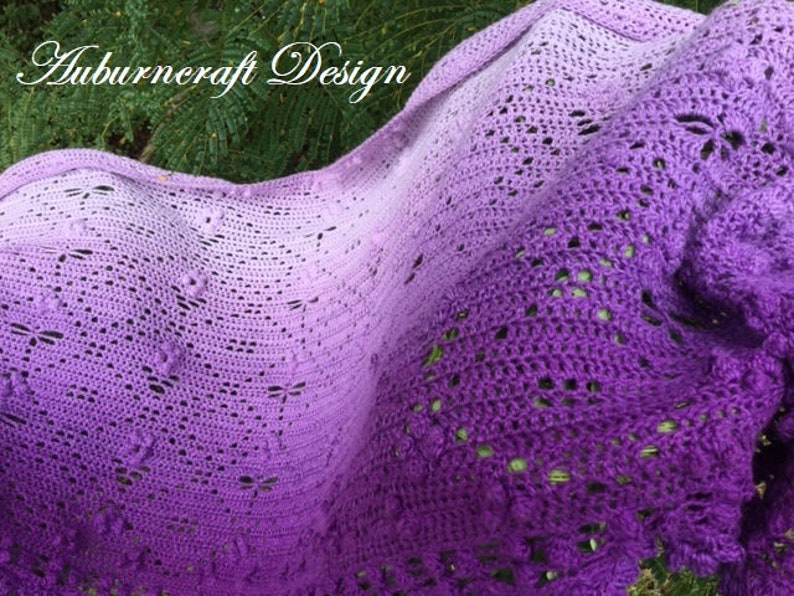 Dragonfly Hide n Seek Crochet Shawl Pattern image 7