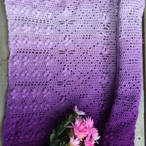 Dragonfly Hide n Seek Crochet Shawl Pattern image 8