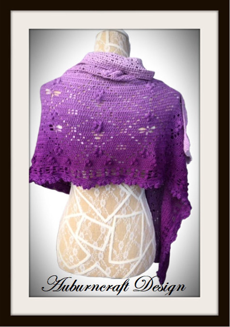 Dragonfly Hide n Seek Crochet Shawl Pattern image 6