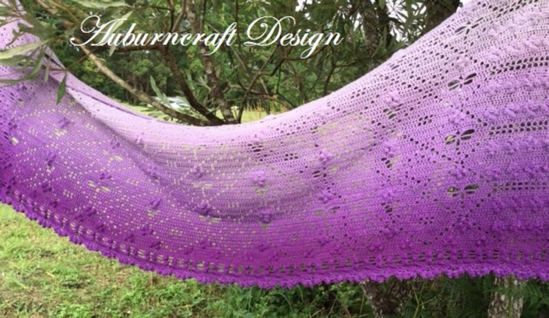 Dragonfly Hide n Seek Crochet Shawl Pattern image 3