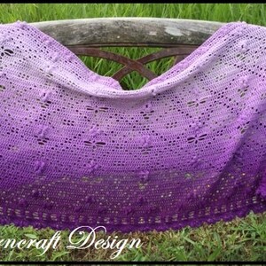 Dragonfly Hide n Seek Crochet Shawl Pattern image 2