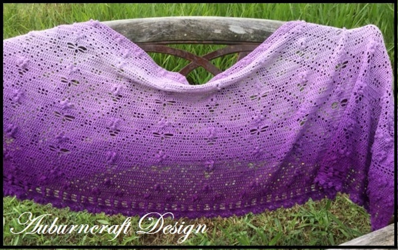 Dragonfly Hide n Seek Crochet Shawl Pattern image 2