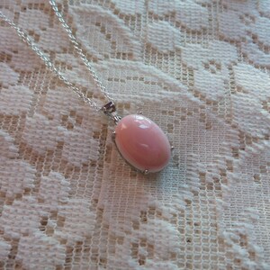 Queen Conch Shell,necklace, beauty,