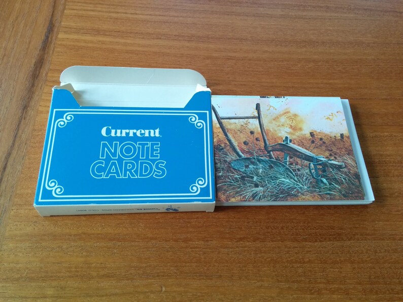 Boxed Vintage Note Cards Blank Inside With Envelopes Set of 12