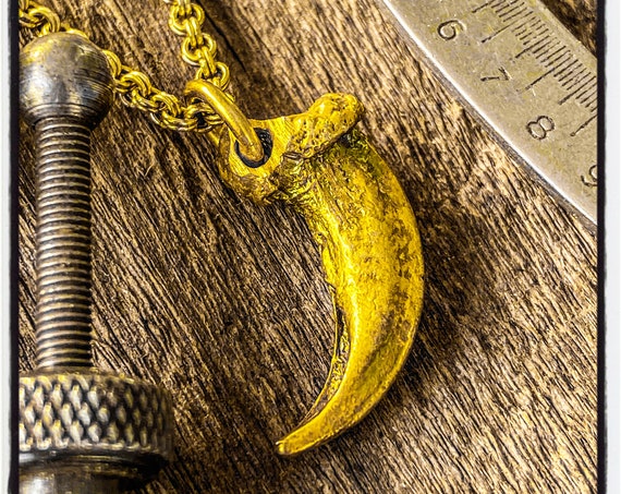 Fuchs Kralle Anhänger Fuchs Kralle Halskette Wolf Kralle Anhänger würde Kralle Halskette Coyote Kralle Anhänger Coyote Kralle Halskette Fuchs Anhänger Fuchs Halskette