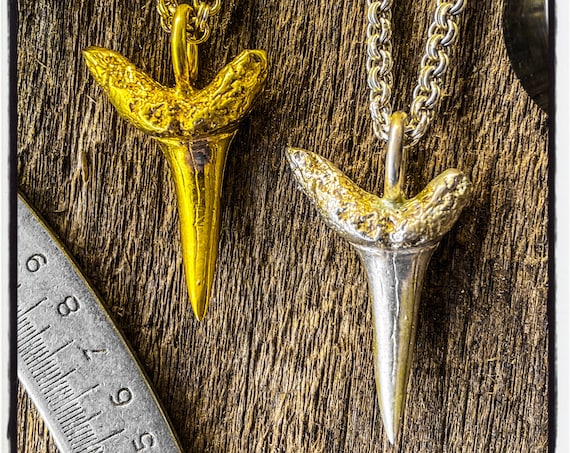 Hai Zahn Halskette Hai Zahn Anhänger Fossil Zahn Halskette Fossil Zahn Anhänger Dinosaurier Zahn Halskette Dinosaurier Zahn Megalodon Zahn