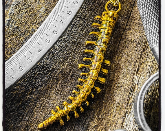 Schlange Knochen Anhänger Schlange Knochen Halskette Schlange Wirbel Anhänger Schlange Vertebrae Halskette Rattlesnake Anhänger Cobra Anhänger Cobra Halskette