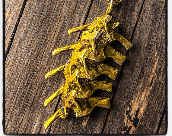 Schlange Wirbel Anhänger Wirbel Halskette Wirbel Anhänger Wirbel Halskette Halskette Halskette Schlange Knochen Anhänger Schlange Knochen Halskette Rattlesnake Halskette