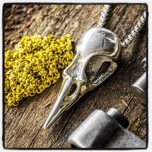 Raven Schedel Hanger Raven Schedel Ketting Kraai Schedel Hanger Humming Bird Schedel Hanger Kolibrie Schedel Ketting Kraai Schedel Hanger Sieraden