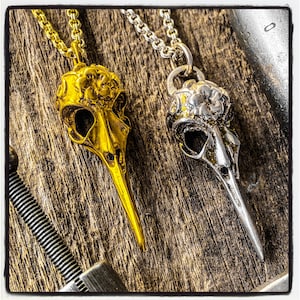 Kolibrie Schedel Ketting Kolibrie Schedel Hanger Raven Schedel Hanger Raven Schedel Ketting Kraai Kraai Ketting Kraai Schedel Hanger