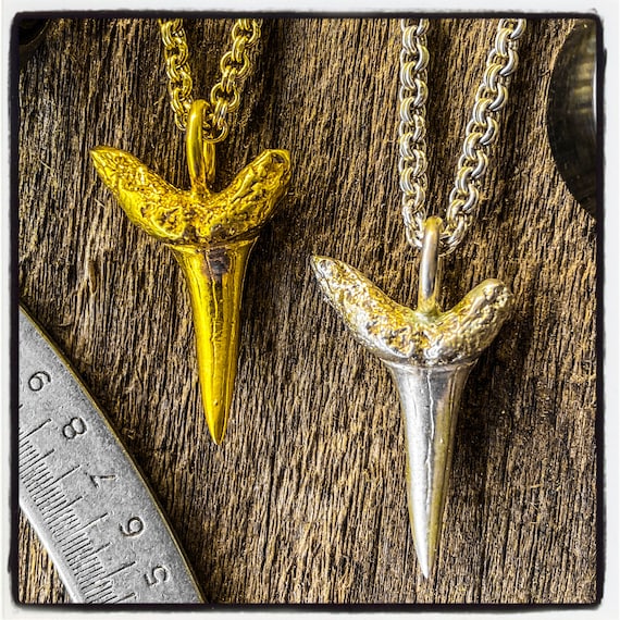 Shark Tooth Necklace Shark Tooth Pendant Fossil Tooth Necklace Fossil Tooth Pendant Dinosaur Tooth Necklace Dinosaur Tooth Megalodon Tooth