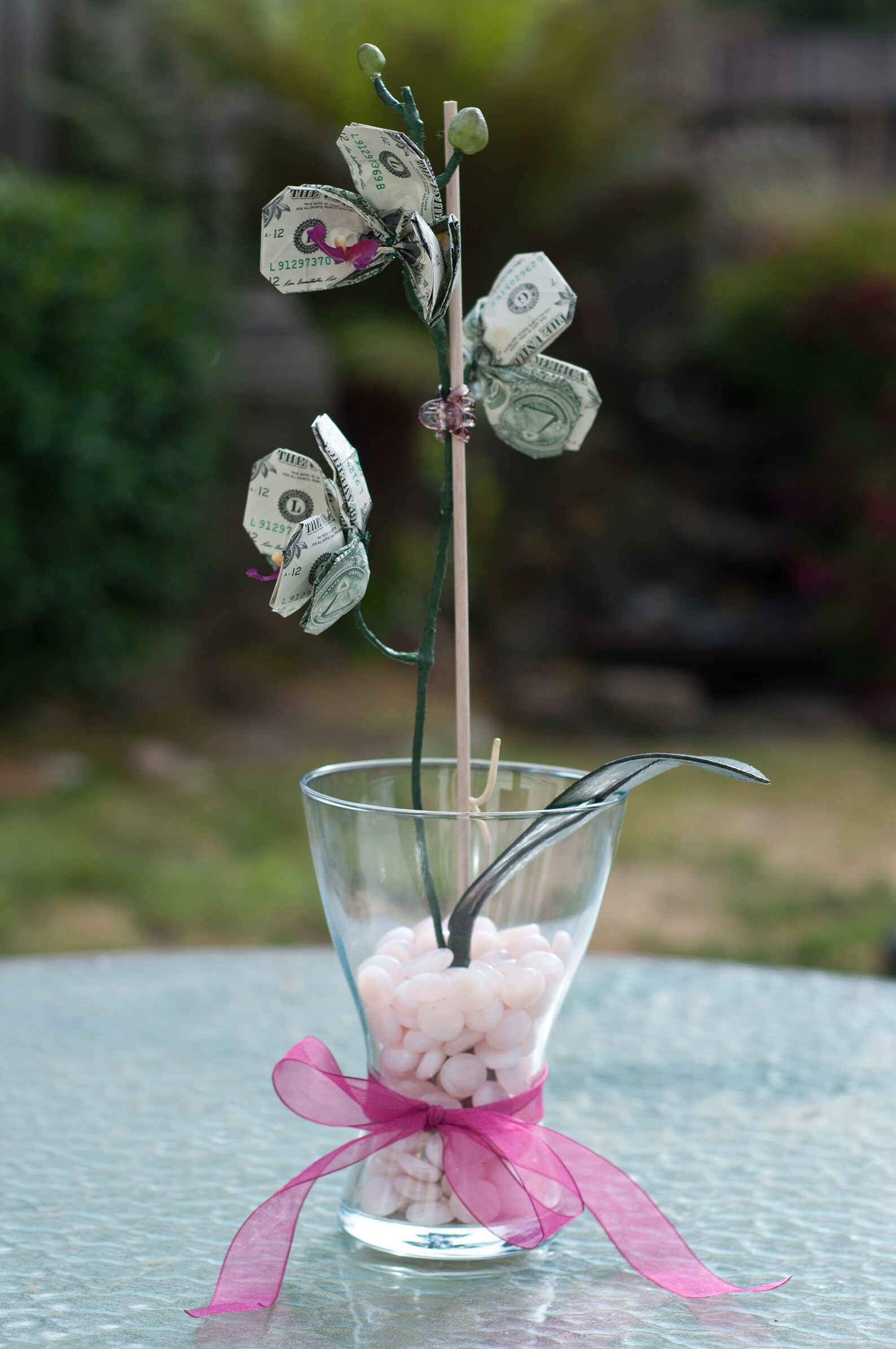 Money Orchid Decorative Plant Etsy