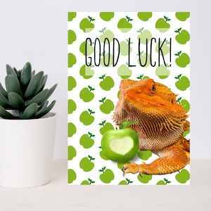 Op de afbeelding: Een wenskaart met een witte achtergrond bedekt met groene appelillustraties. De kaart toont een baardagaam en een appel met een hartvormige uitsparing. De woorden "GOOD LUCK!" zijn in het zwart geschreven.