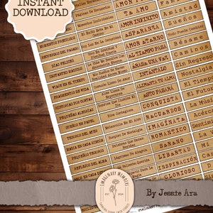 Junk Journal, Printable, Labels, Grunge, Ephemera, Spanish, Words