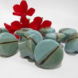 May include: A selection of teal and green ceramic cabinet knobs, each featuring a brown diagonal stripe. Red flowers are visible in the background. These decorative knobs are suitable for furniture or home decor projects.