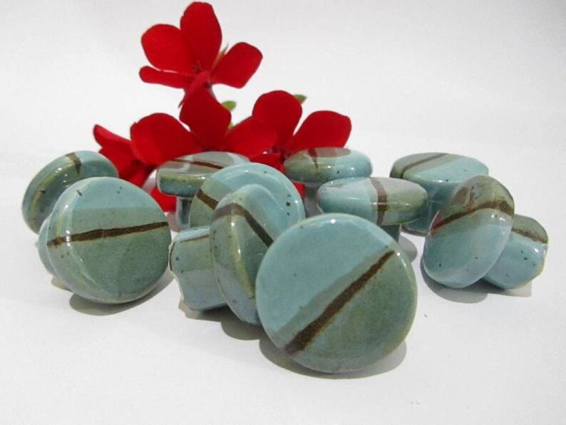 May include: A selection of teal and green ceramic cabinet knobs, each featuring a brown diagonal stripe. Red flowers are visible in the background. These decorative knobs are suitable for furniture or home decor projects.