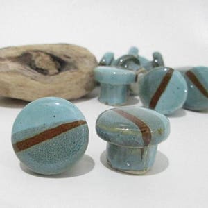 May include: A selection of ceramic cabinet knobs and a piece of driftwood. The knobs are light blue with a brown stripe. The knobs are in various shapes, including round and mushroom-shaped.