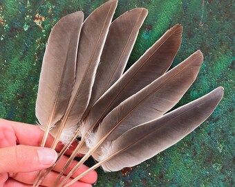 Brown Feather Flower - Etsy Canada