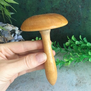 Może przedstawiać: Drewniany drut do robótek ręcznych w kształcie grzyba, o gładkim, jasnobrązowym wykończeniu. Drut jest trzymany w dłoni, a jego końcówka skierowana jest w stronę aparatu.